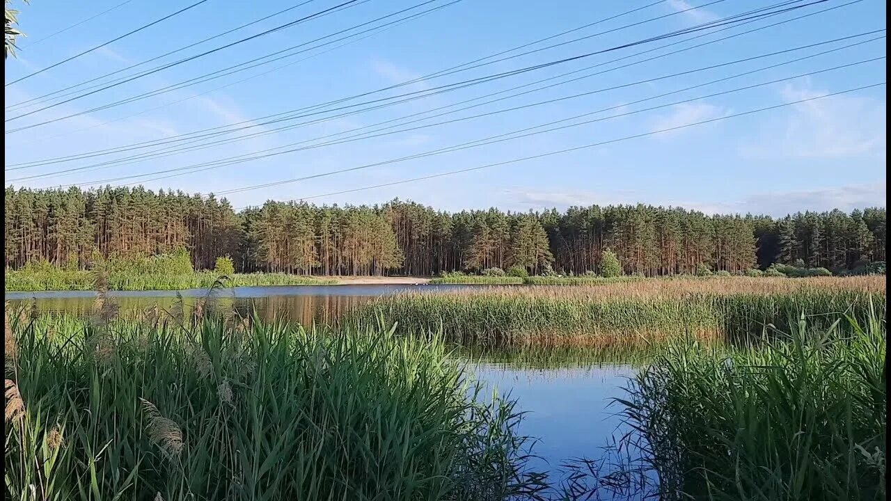 Гурьяново. Озеро гурьяново Нижний Новгород. Озеро гурьяново Балахнинский район. Солдатское озеро Нижний Новгород. Гурьянова озеро Балахнинский район.