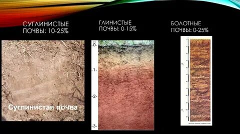 Какая почва глинистая