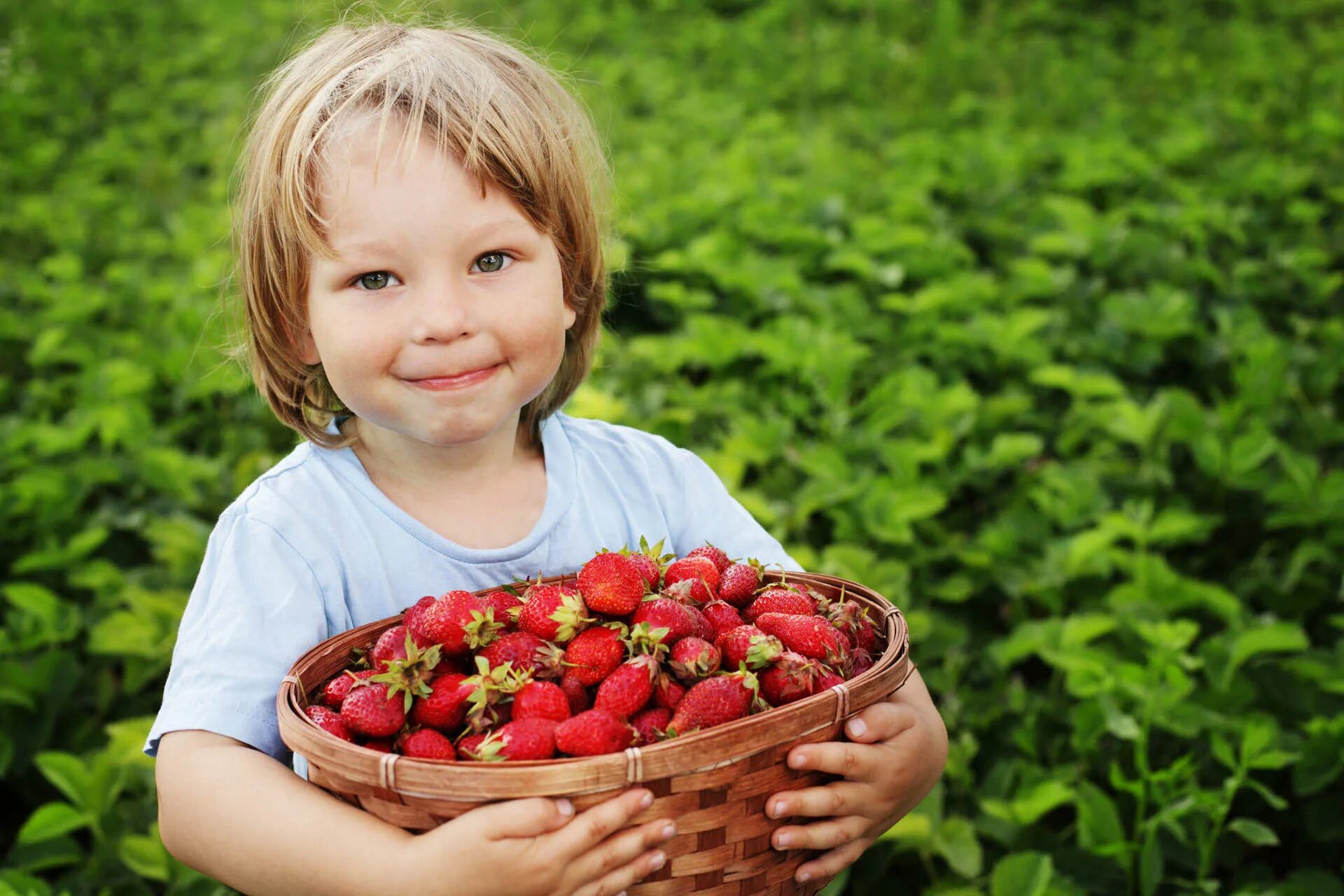 Ягодка ест ягодку. Клубника для детей. Лето ягоды. Девочка с земляникой. Дети ягоды лето.