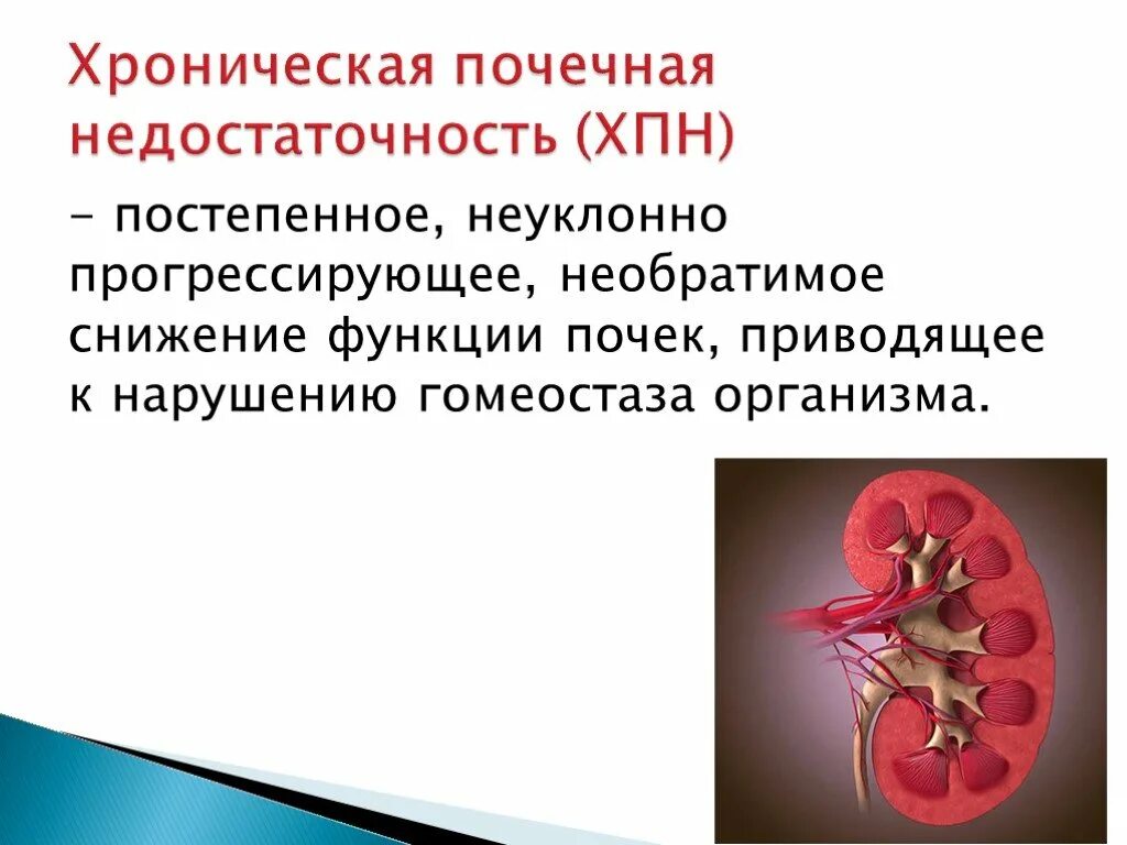 Патология почек, почечная недостаточность. Храническое заболевания почек. Снижение функции почек. Недостаточность функции почек.