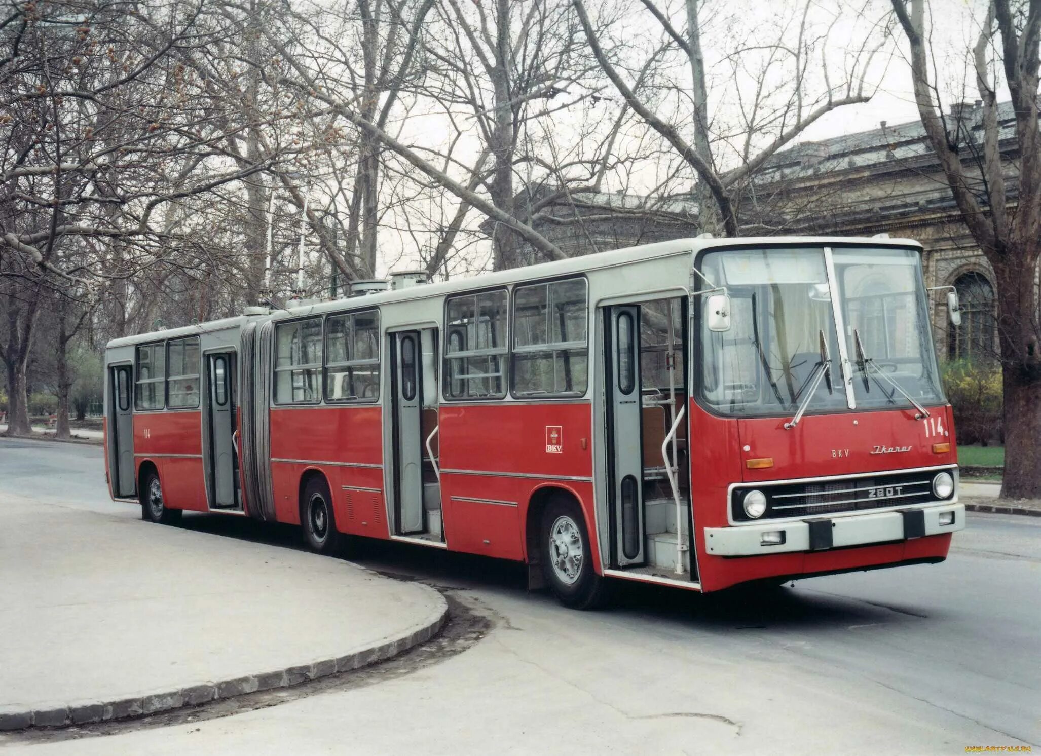 Ikarus 280t. Икарус 280. Икарус 280 гармошка. Автобус Ikarus 280.