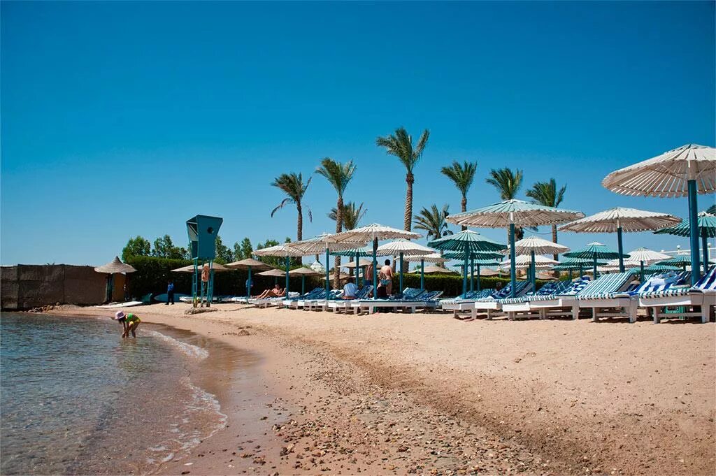 Минамарк резорт спа 4 хургада. Египет,хургада,minamark beach resort. минамарк бич резорт хургада 4. minamark beach resort 4 египет хургада. minamark resort &amp; spa 4*.