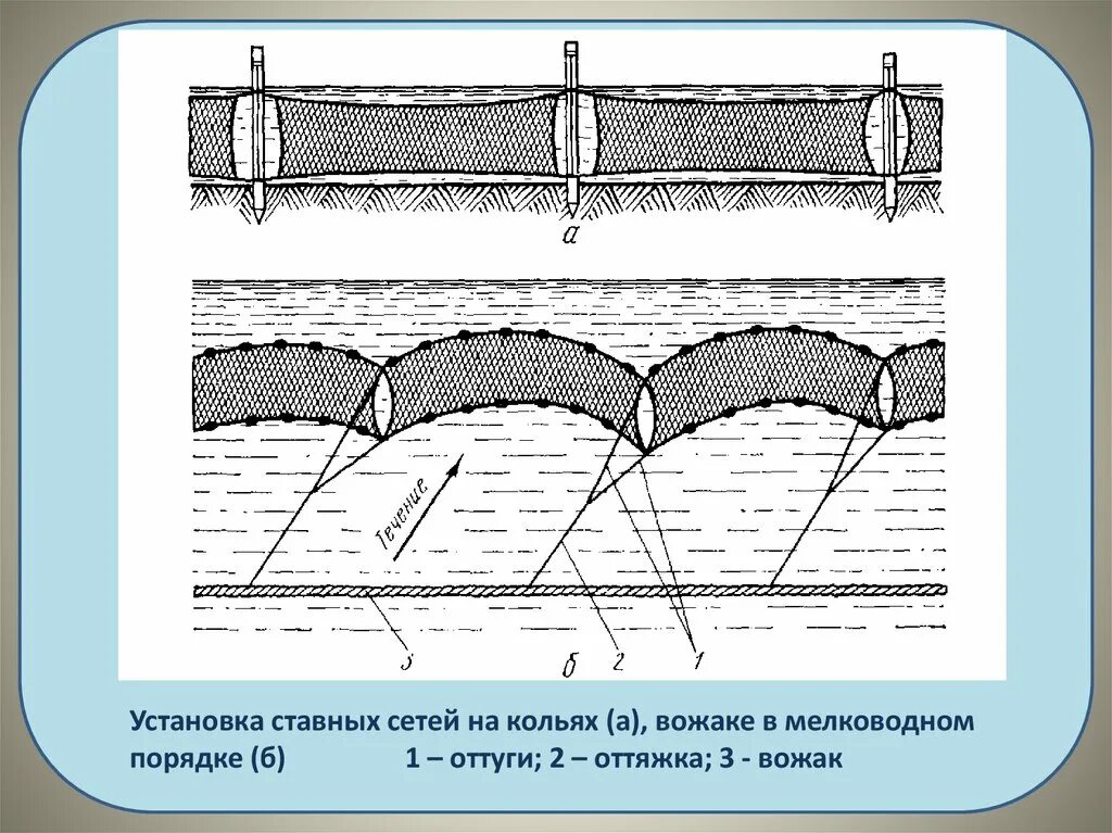 Можно ли ставить сети. Способы постановки сетей. Ставные сети. Схема постановки рыболовной сети. Установка сетей.