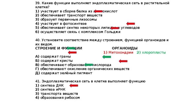 Какую функцию у зелено