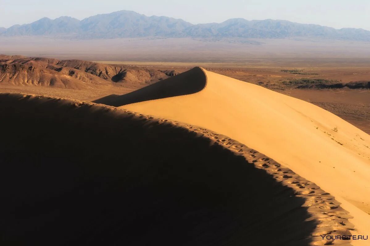 Бархан 1. Поющий бархан казахстан на карте. Самый большой бархан в мире. Бархан сарыкум млекопитающие. Бархан сырум.