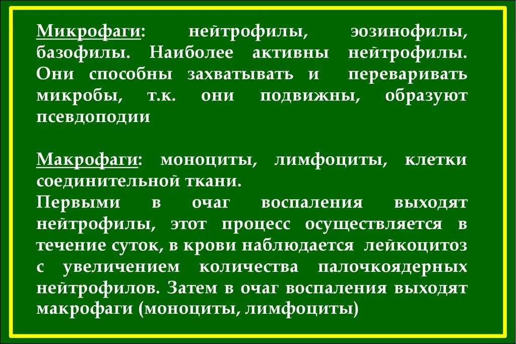 Микрофаги и макрофаги. Микрофаги: нейтрофилы эозинофилы. К микрофагам относят. Микрофаги и макрофаги отличия. Клетка способная захватывать