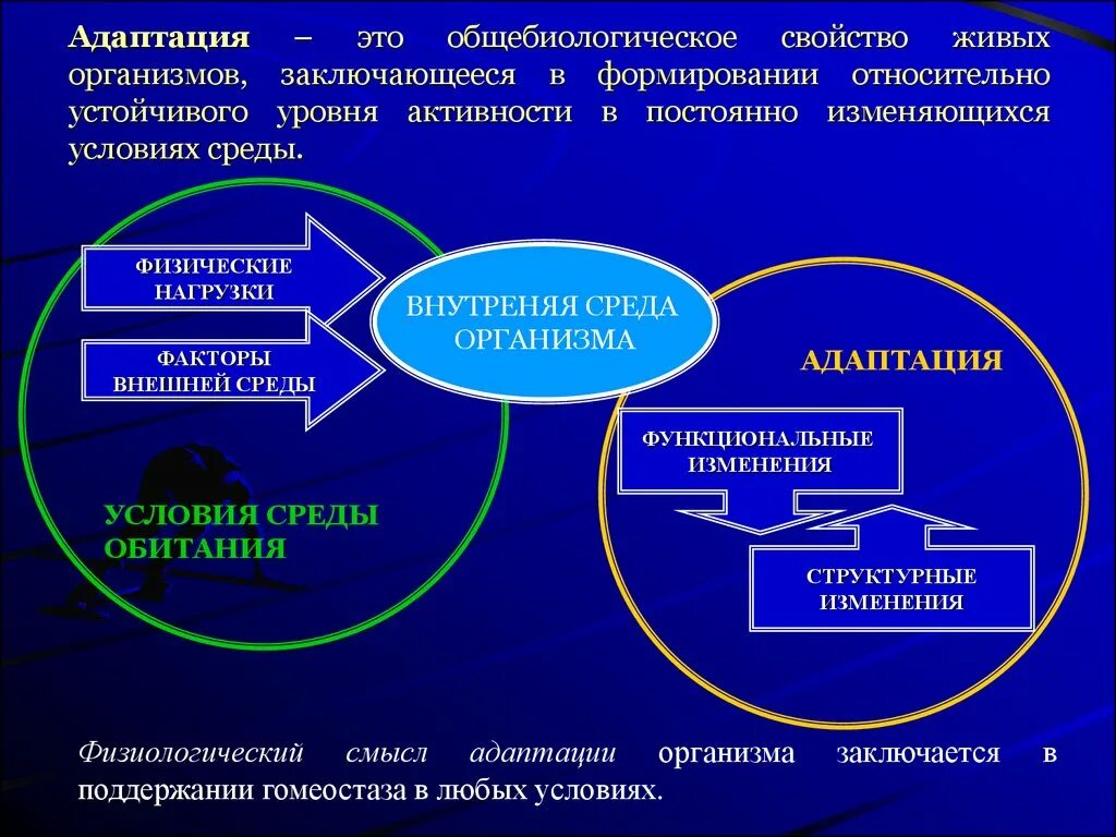 Изменение организма в процессе. Физиологические основы адаптации. адаптация к физическим нагрузкам. адаптация организма человека к физическим нагрузкам. адаптационные возможности человека.