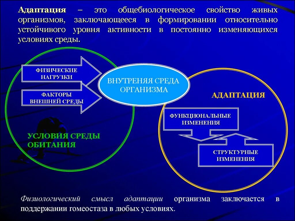 Изменения внешних и внутренних условий. Физиологические основы адаптации. Физиологические основы адаптации к физическим нагрузкам. Адаптация организма человека к факторам среды. Физиологические механизмы адаптация организма.