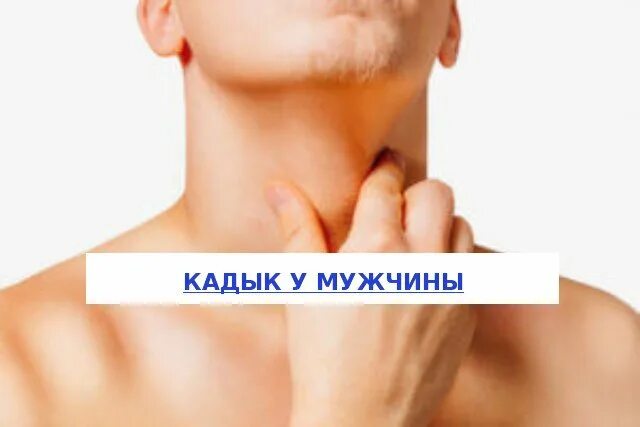 Почему появляется кадык
