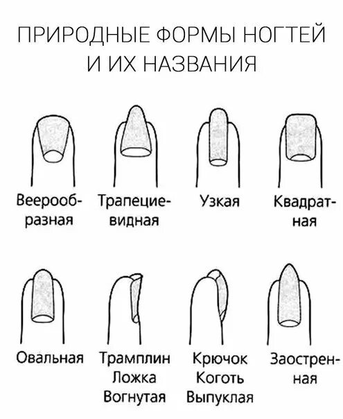Размеры ногтей для наращивания таблица. Мягкий квадрат форма ногтей сбоку. Форма ногтей квадрат вид сбоку. Формы нарощенных ногтей названия. Формы ногтей и их названия и схемы опила.