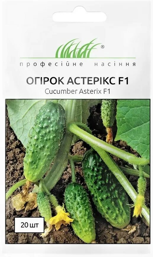 Астерикс сорт огурцов. Огурец астерикс f1. огурец астерикс f1 10шт /10. огурец астерикс фото. астерикс огурец описание.