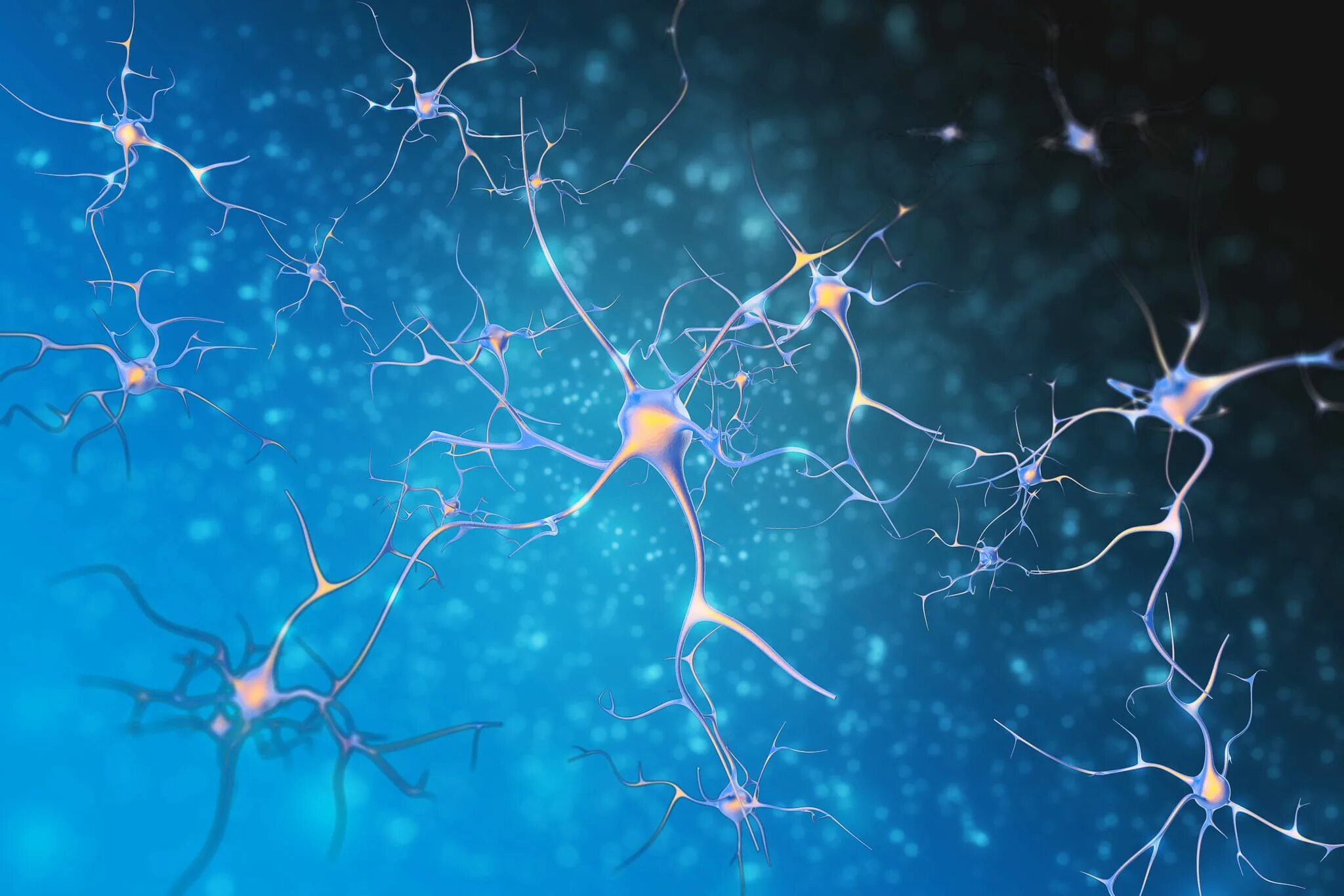 Клетки мозга человека состоят из. Нейроны. Нейроны головного мозга. Нейронная сеть мозга. Нервная система Нейрон.