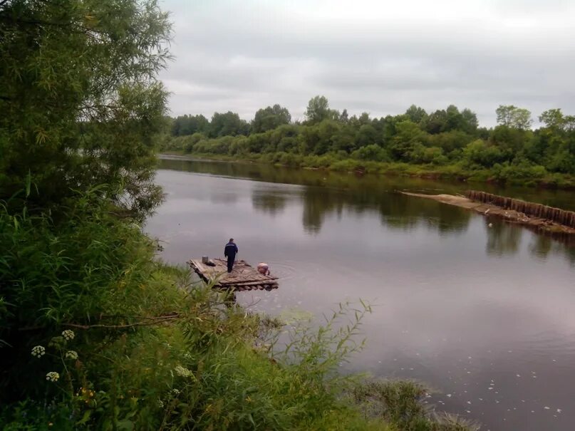 Уровень воды в ветлуге шарья на сегодня. Река Шарья Костромская область. Шарья Костромской области речка Шарьинка. Кораблиха Шарья. Река Ветлуга Шарья.