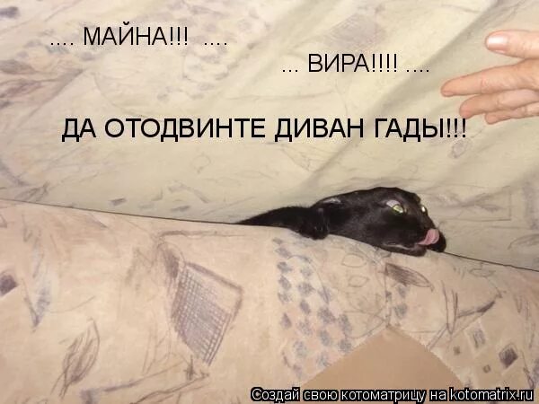 Вира и майна что это означает. Полундра картинки. Майна и вира на стройке. Полундра. Вира и майна что это означает.