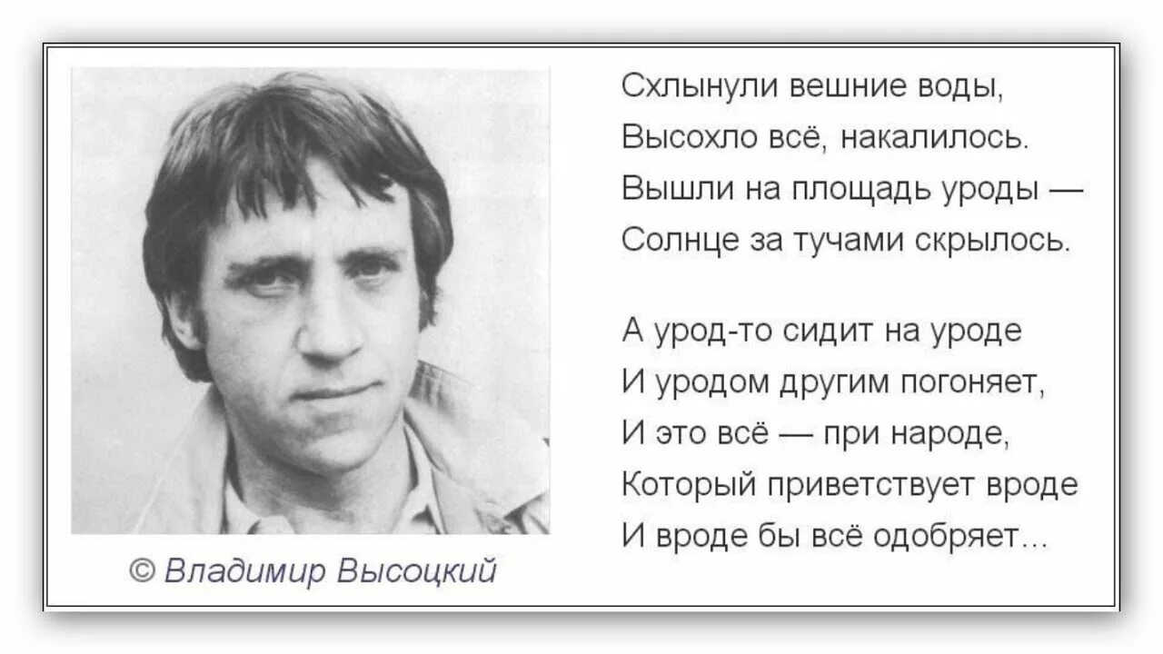 Стихи Высоцкого. Высоцкий в. "стихотворения". Высоцкий а урод то сидит на уроде. Стихи Высоцкого в картинках. Стихи высоцкого о войне короткие