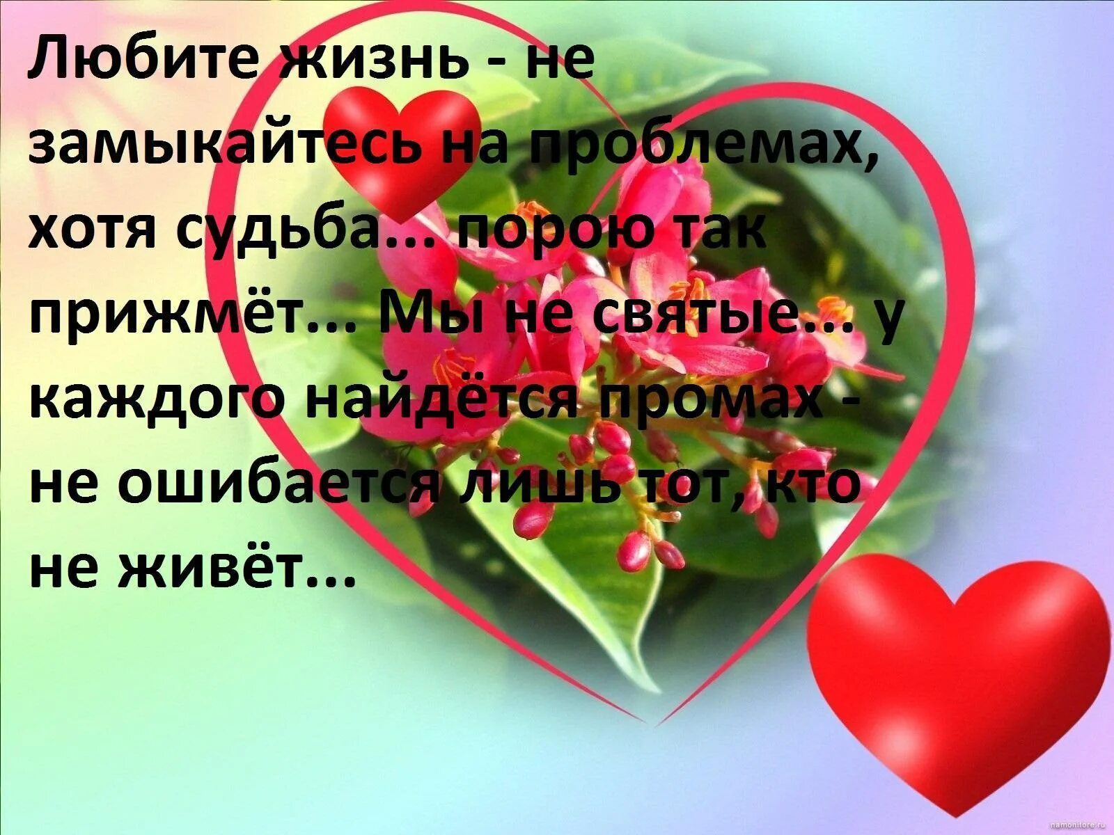 Жизни любящего