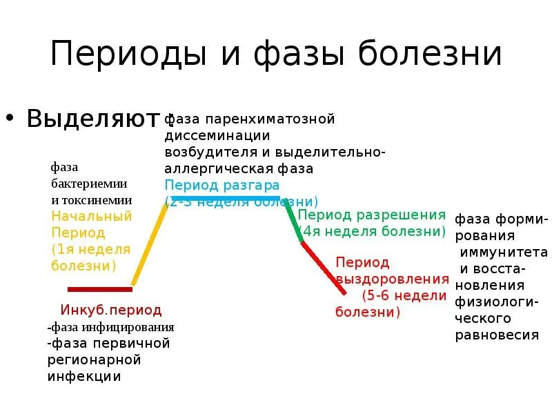 Фазы болезни. Болезнь меньера. Фазы заболевания. Стадии болезни патология. Фазы хронической болезни.