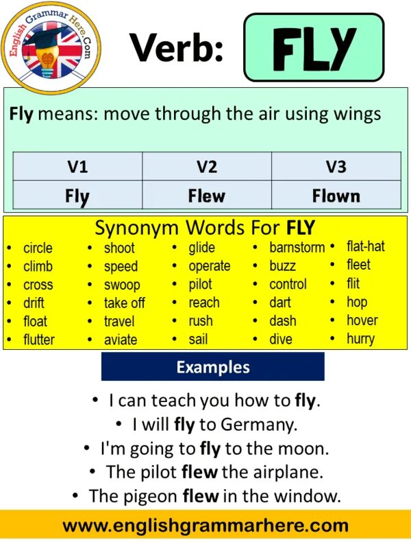 Fly неправильный. Fly в паст Симпл. Fly past simple. Fly past simple форма. Глаголы в паст Симпл Fly.