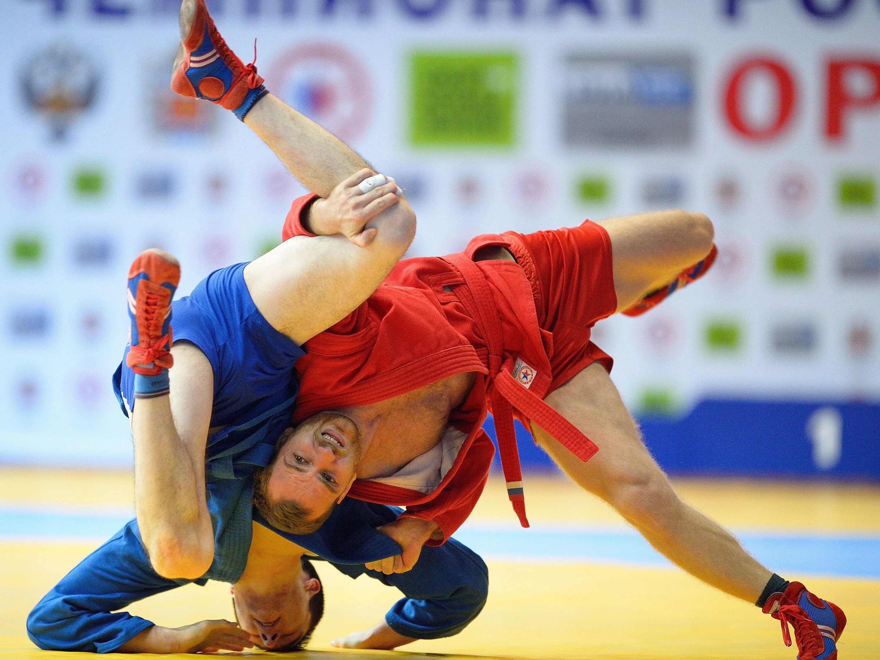 Самбо жизнь. Дмитриев илья боевое самбо. Самбо картинки. Дмитрий овчинников самбо. Самбо жизнь.