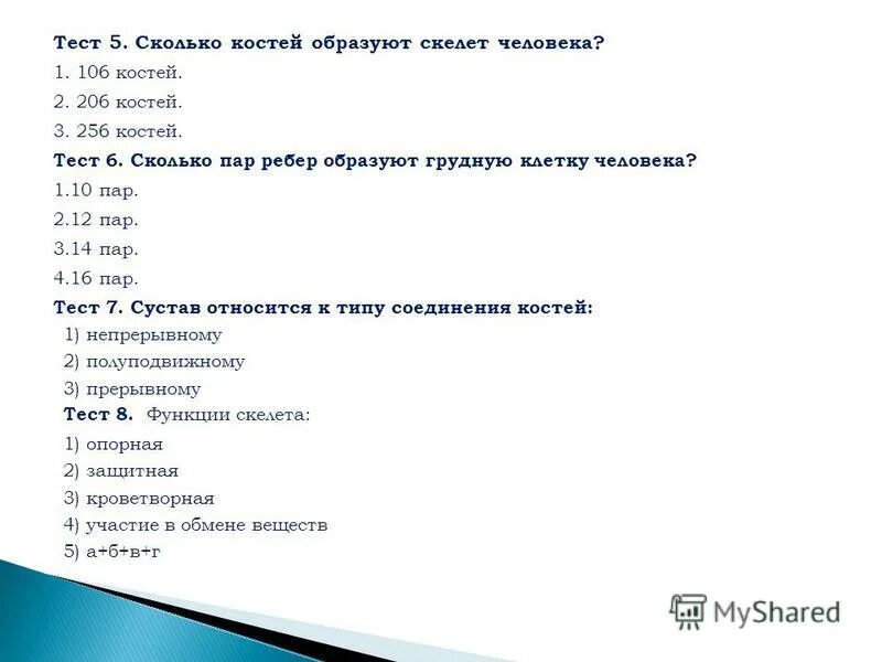 Тест по биологии 8 класс скелет человека. Тест на тему скелет человека 8 класс. Тест по биологии скелет человека 8. Тест биология 8 класс скелет. Ответы тестов в 8 3