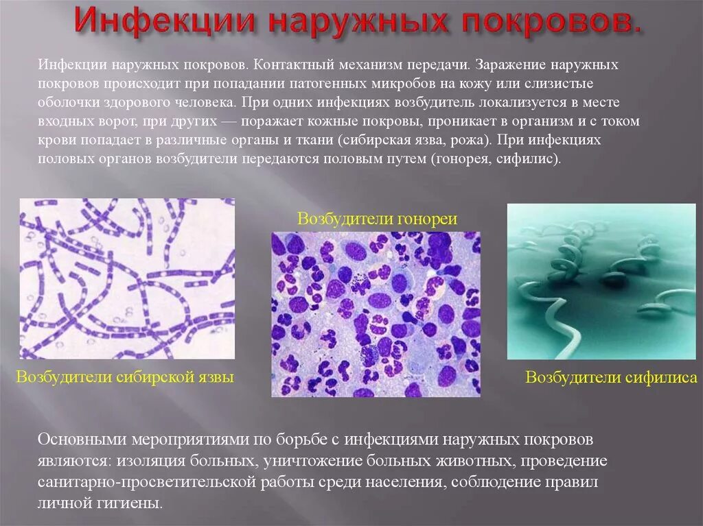 Заболевания наружных покровов. Эпидемиология инфекций наружных покровов. Бактериальные инфекции наружных покровов пути передачи. Возбудители вирусных заболеваний наружных покровов. Возбудители бактериальных инфекций наружных покровов.