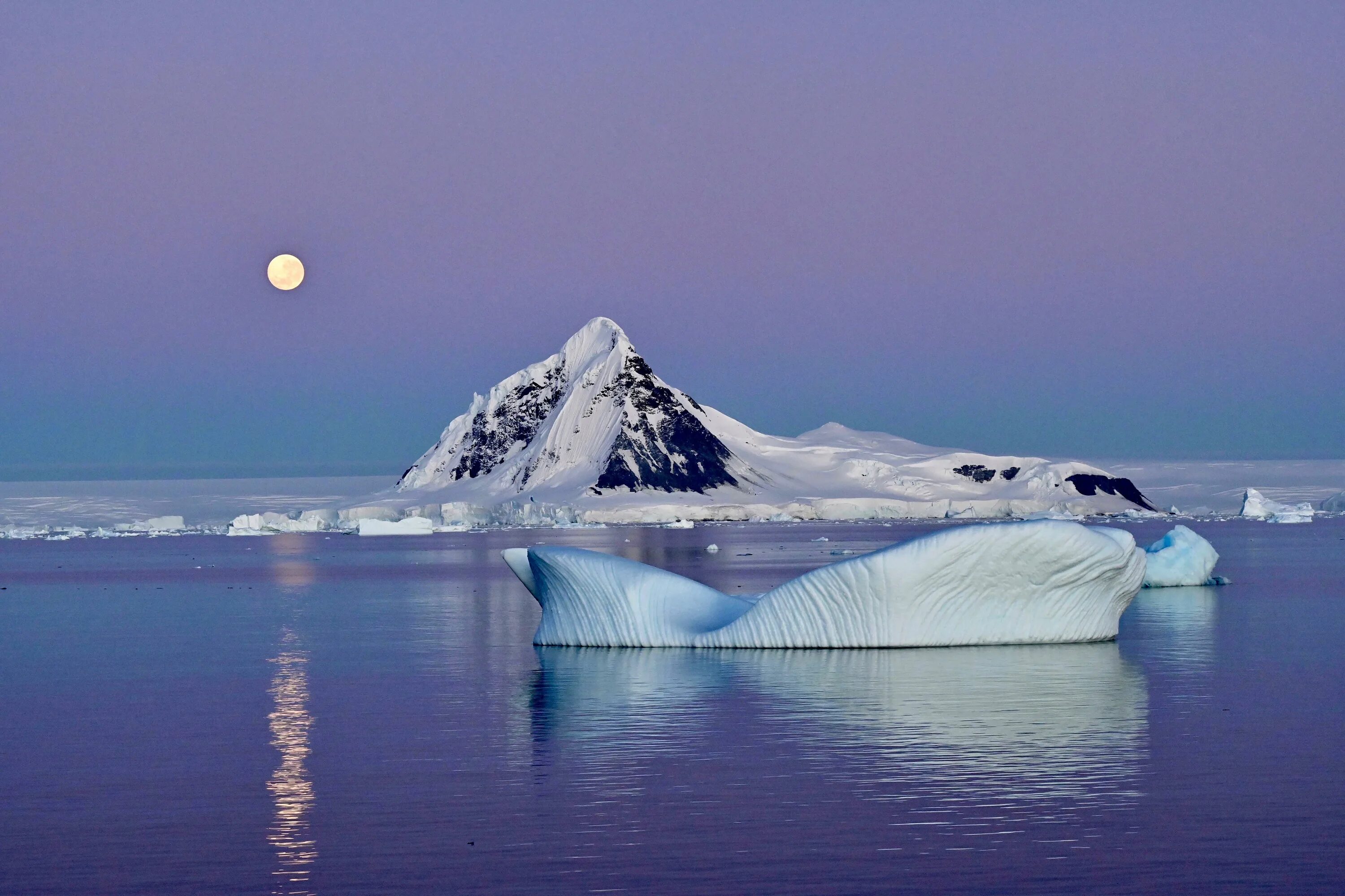 Море Уэдделла в Антарктиде. Море Уэдделла ледник. Бухта китовая Антарктика. Бухта Парадиз Антарктида. Атлантический океан в антарктиде