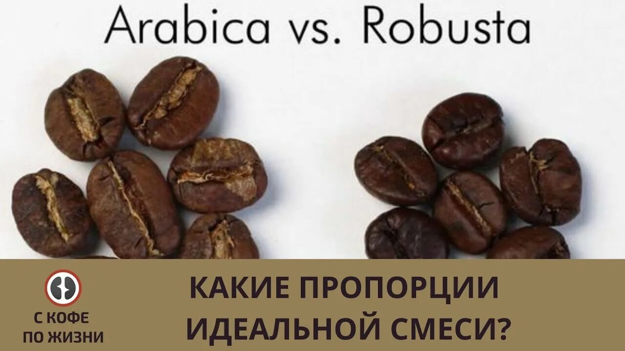 Что дает робуста. Кофе арабика и робуста. разница зерна арабика и робуста. робуста и арабика различия. кофе робуста или арабика отличия.