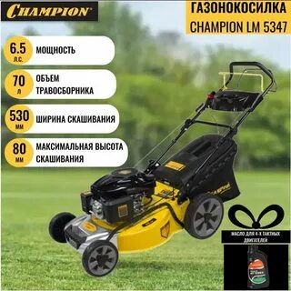 Ремонт газонокосилок champion
