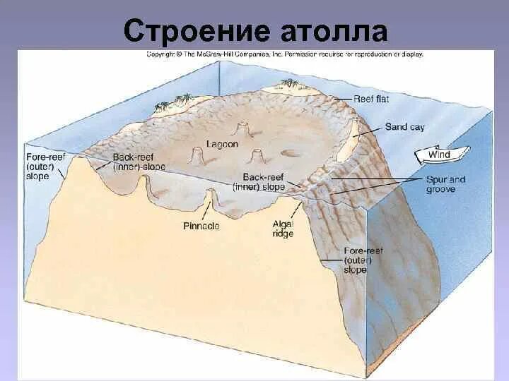 Образование коралловых островов. Схема образования кораллового острова атоллы. Образование атолла. Схема атолла. Атолл как образуется.