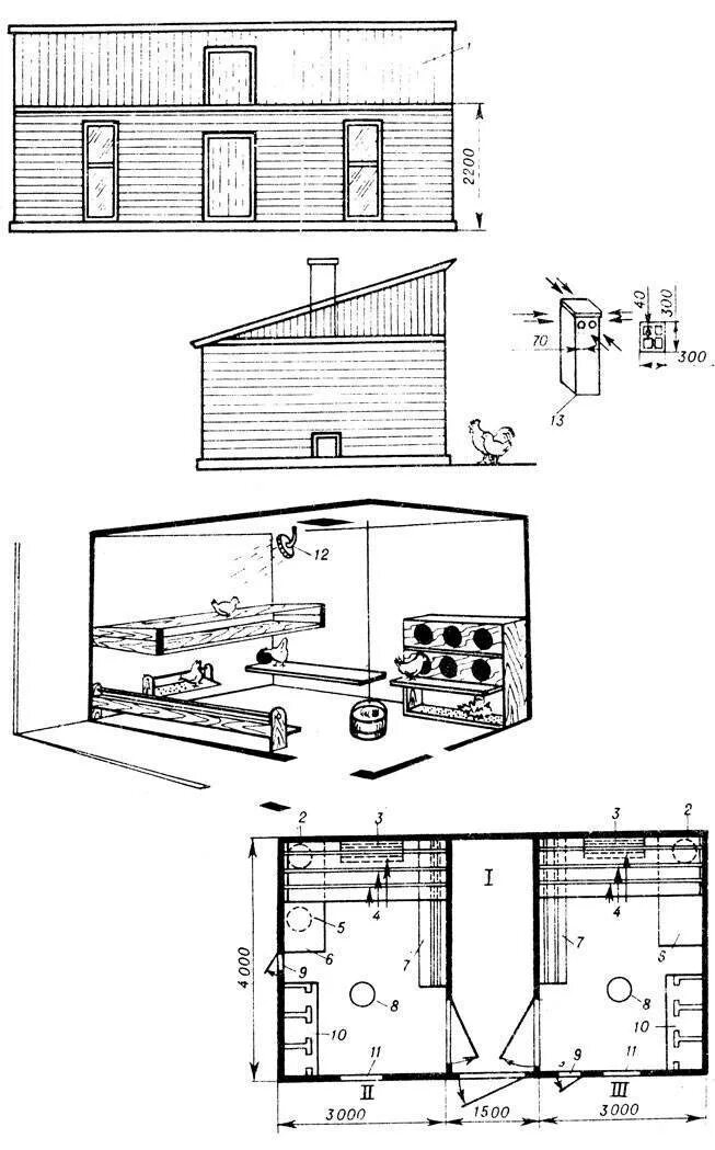 Размер курятника на 10 кур несушек. Чертеж курятника на 50 кур с размерами. Планировка курятника на 20 кур. Планировка сарая для кур несушек и бройлеров. Проект курятника на 50 кур с размерами чертежи.