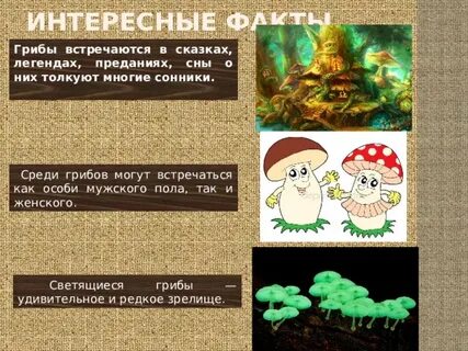 Грибы встречаются