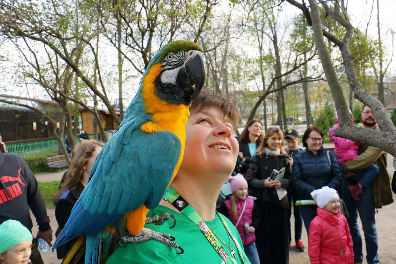 Зоопарк в питере фото Картинки ЗООПАРК СПБ ЧАСЫ