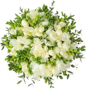 Фрезия букет