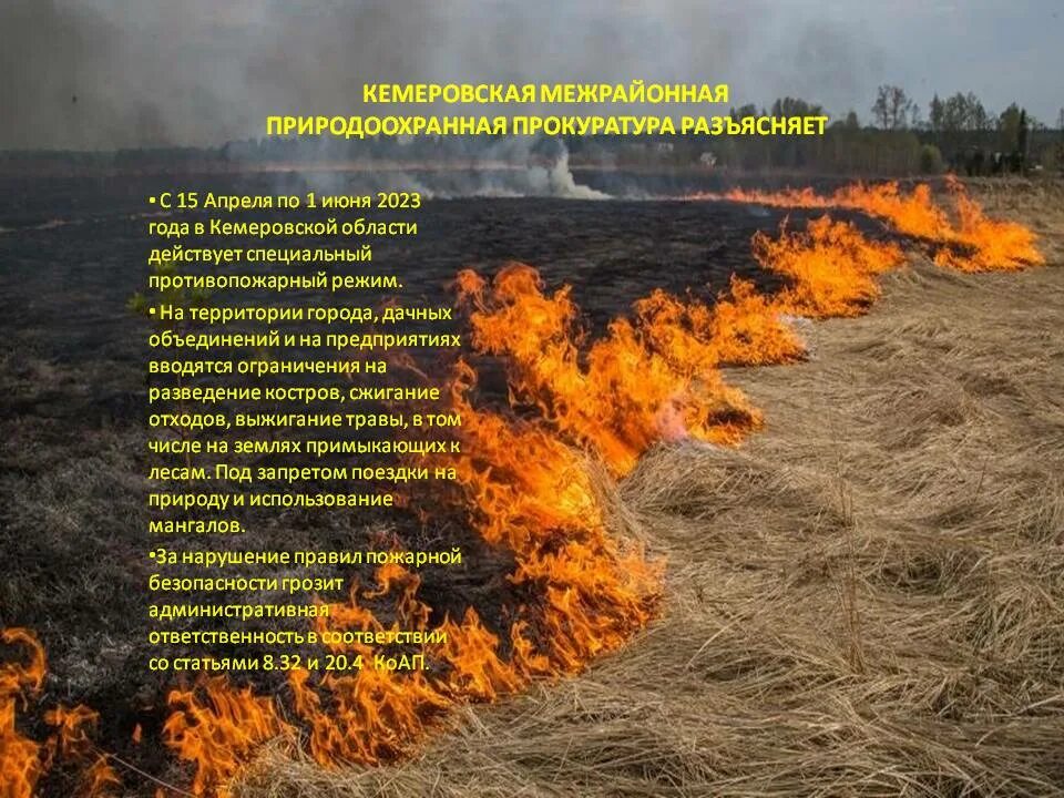 Пожароопасный период это. Пожароопасный период. Пожароопасный период картинки. Пожароопасный период в лесу.