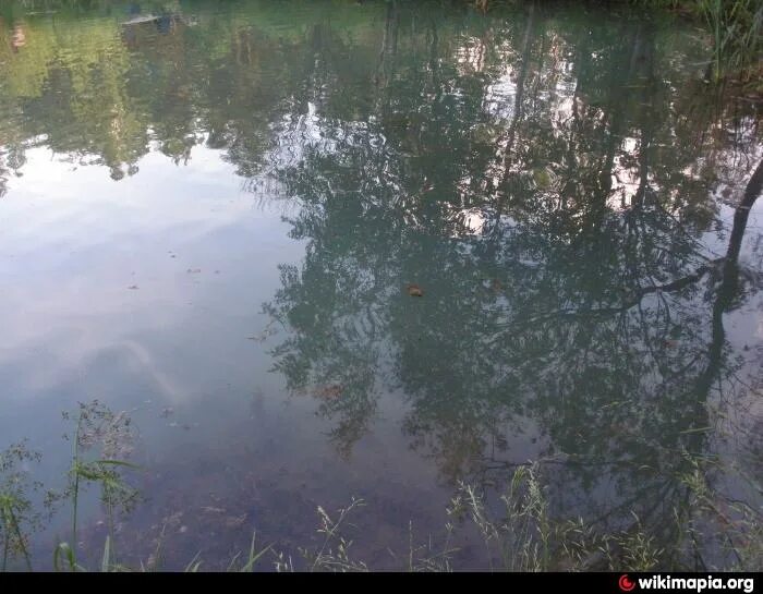 Сероводородных озерах калуга. Сероводородные озера Калуга. Резванское озеро Калуга. Сероводородные пруды в Калуге. Сероводородные озера в Калуге лето.