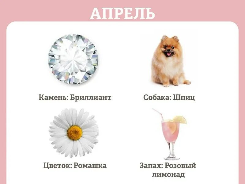 Гороскоп какие цветы подходят. Цветы по гороскопу. цветочный гороскоп по знаку. цветы по знаку гороскопа. цветочный гороскоп по знаку зодиака.