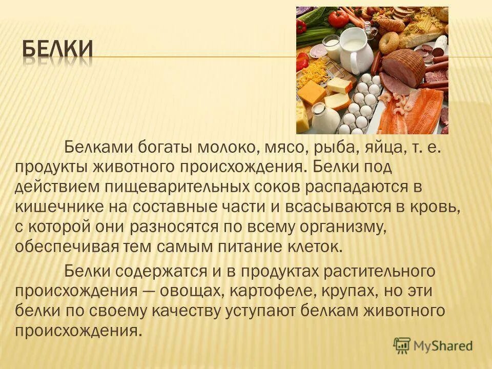 Человек белковый продукт. Белки в организме человека. Роль белков в питании человека. Белки и их роль. Белки в питании человека роль.