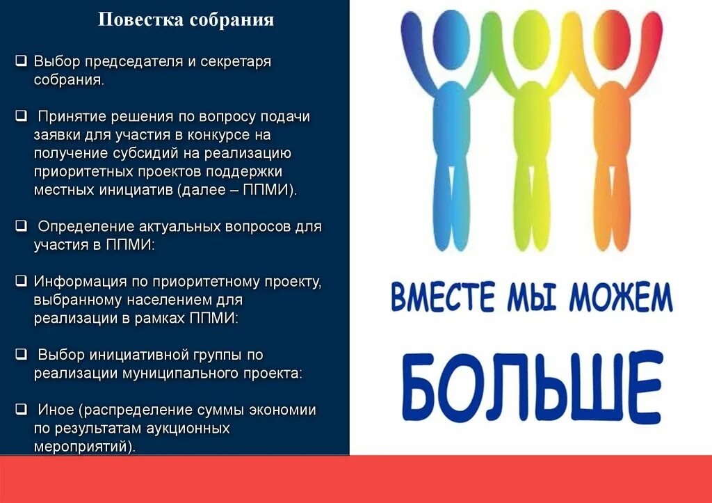 Местные инициативы определение