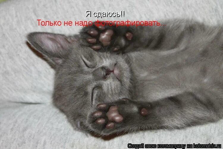 Только тебе могу сдаться только твои