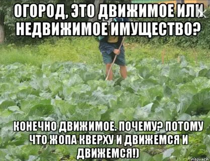 Любка поливала огород с самого