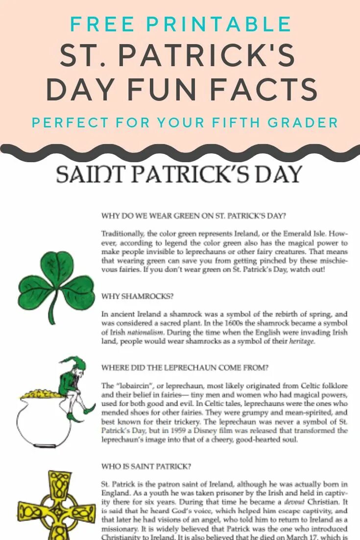 Why was patrick to learn irish
