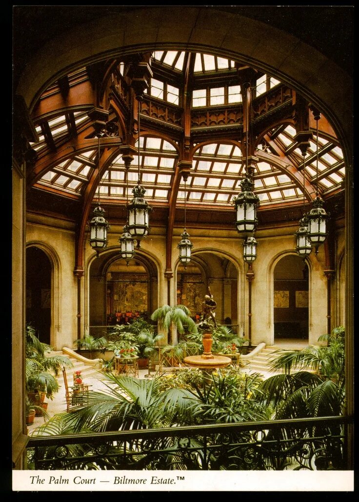 The palm court. The palm court. The palm court. Отель плаза нью йорк пальмовый двор. Plaza hotel new york внутри.