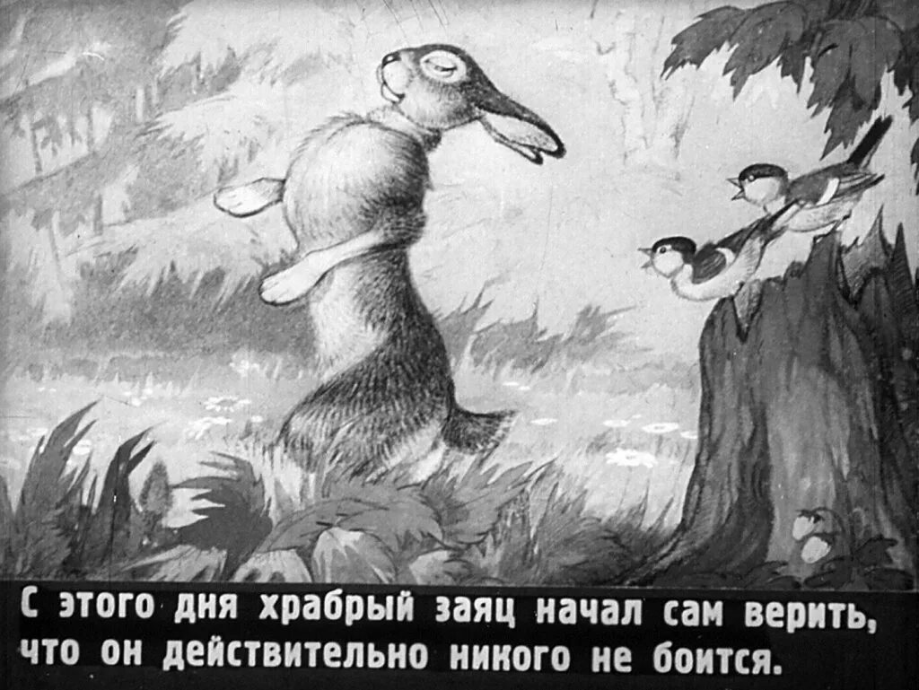 Он был самый храбрый. Храбрый заяц мамин Сибиряк. Сказка про храброго зайца мамин Себер. Мамин-Сибиряк заяц-хвастун. Иллюстрация к сказке Храбрый заяц.