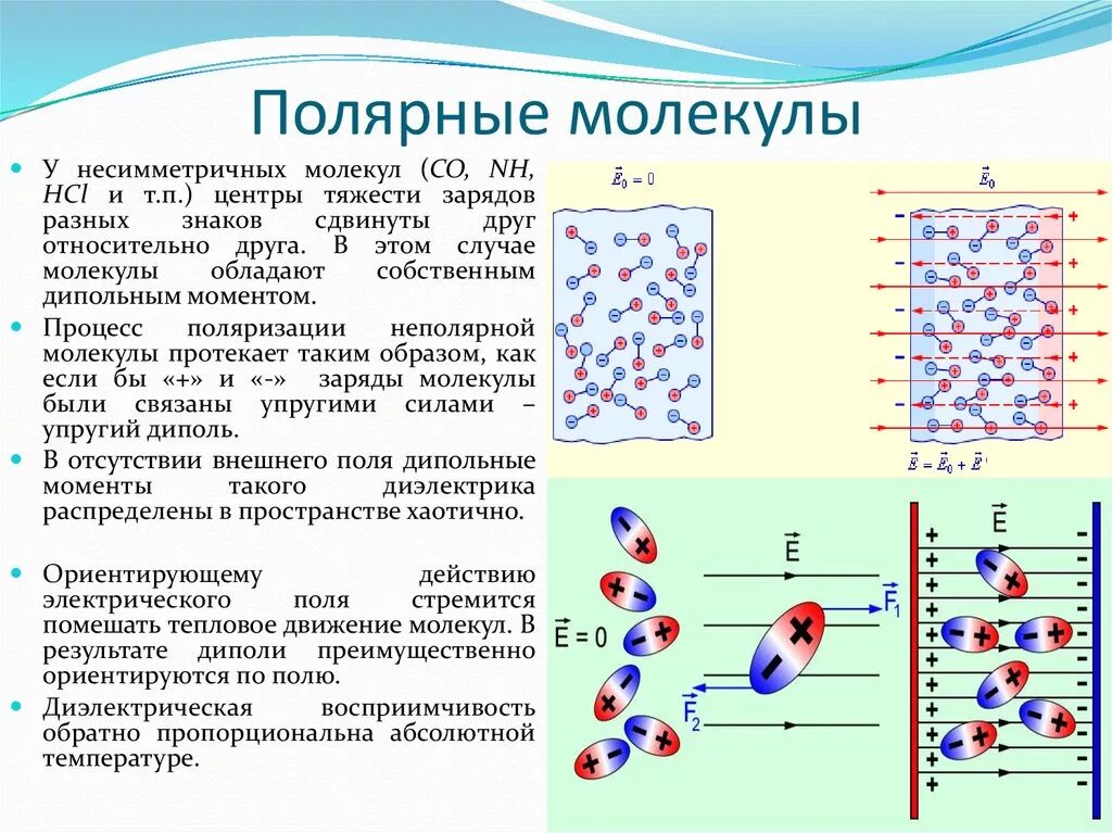 Как определить вещества молекулы которых полярны. Полярные и неполярные молекулы. Неполярные молекулы. Неполярной является молекула:.