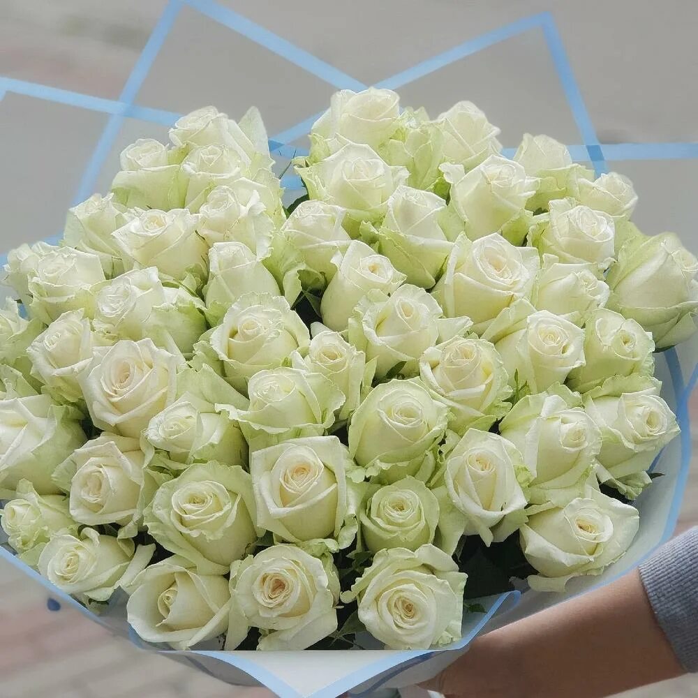 Сон белые розы букет. Букет белых роз. Букет из белых роз. Шикарный букет белых роз. Огромный букет белых роз.