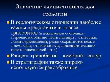 Функции членистоногих