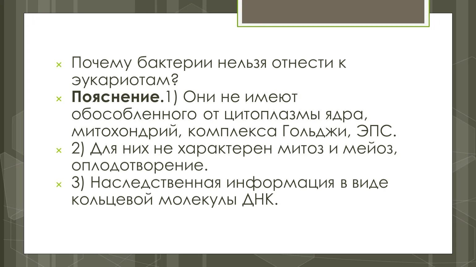 Почему бактерии нельзя отнести к эукариотам. Почему бактерии не относятся к эукариотам. Почему бактерий не относят к эукариотам?. Почему бактерии нельзя отнести к эукариотам пояснение.