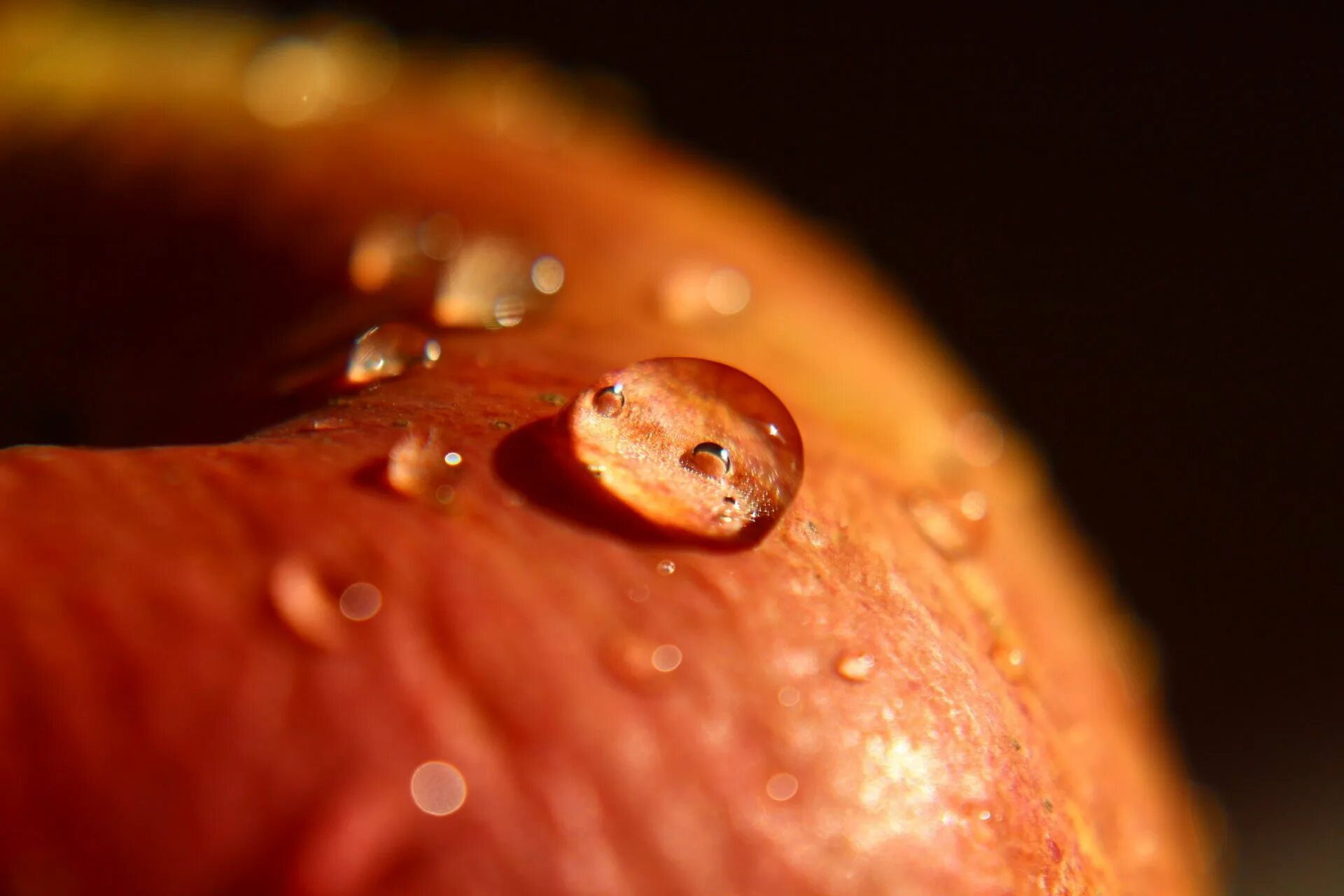 Time macro
