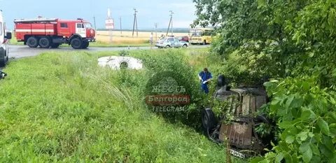 Грайворон белгородская новости на сегодня происшествия