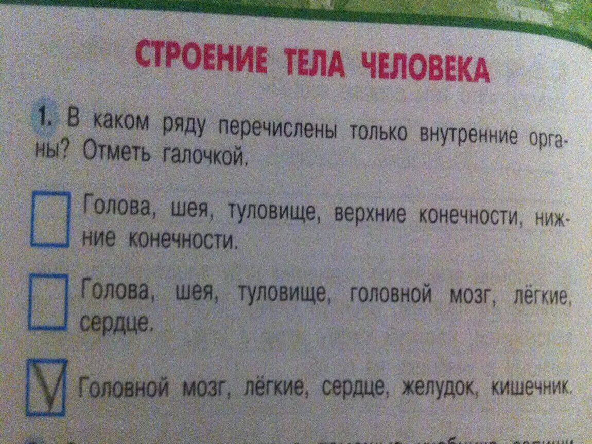 В каком ряду перечислены города. В каком ряду перечислены только внутренние. В каком ряду перечислены только. В каком ряду перечислены только внутренние органы. В каком ряду перечислены только внутренние органы отметь галочкой.